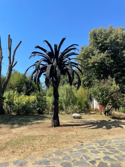 Douglas White, Black Palm, 2025