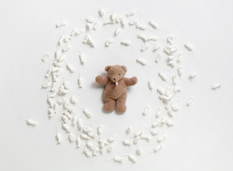 Poor Teddy, 2014, Nylon, oil, teddy bear, knife, silicone