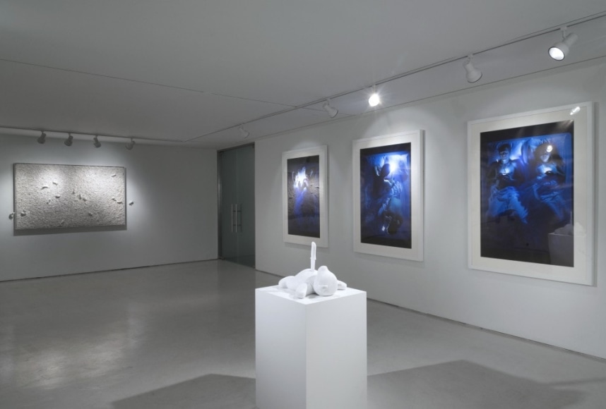 Rachel Lee Hovnanian: Plastic Perfect