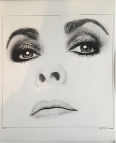Firooz Zahedi , My Elizabeth, Portfolio