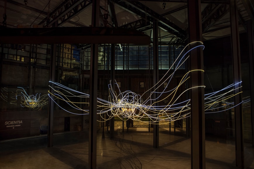 Grimanesa Amor&oacute;s: Scientia