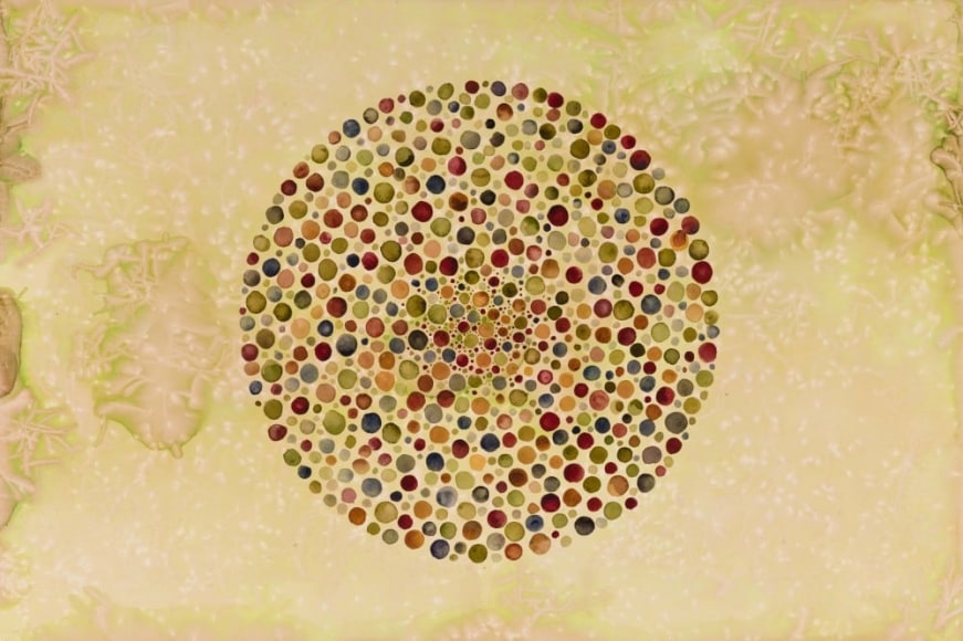SHIVA AHMADI, Circles, 2013