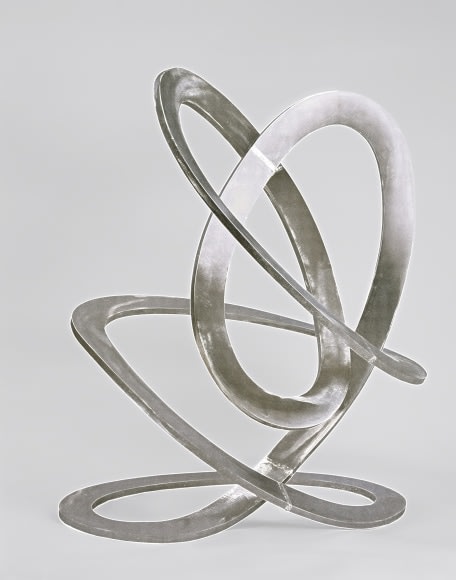 Arthur Carter Continuous Elliptical Loops, 2005