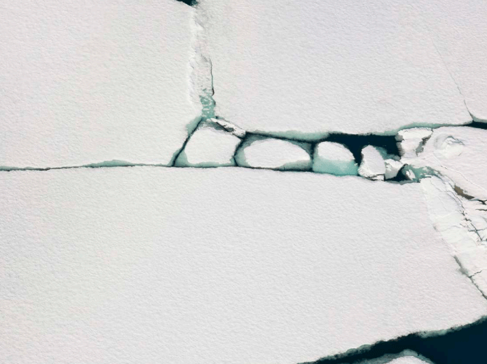 Diane Tuft, Relics, Isfjorden, Norway, 2015