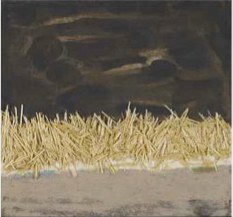 Midsummer Night Dream, Earthworks Series, 1999