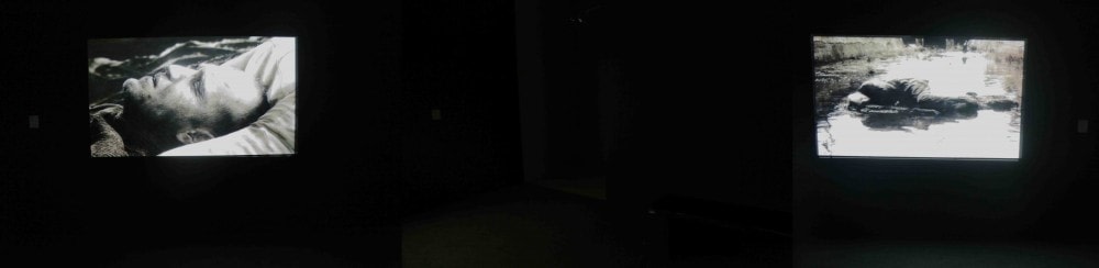 Shoja Azari and Shahram Karimi: Magic of Light