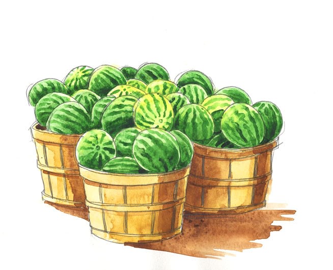 Bayview Farms Market