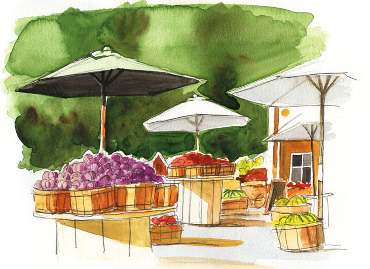 Bayview Farms Market