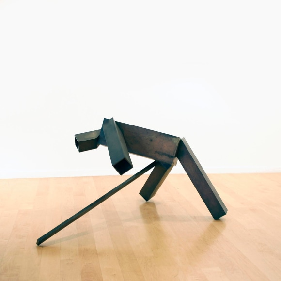 Joel Shapiro,