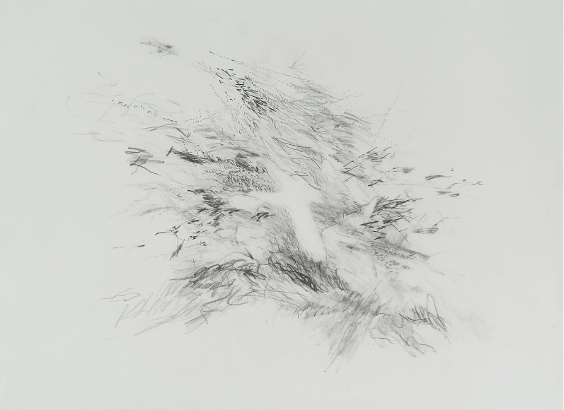 Julie Mehretu,