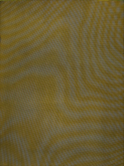 Tauba Auerbach Mesh/Moire III, 2012