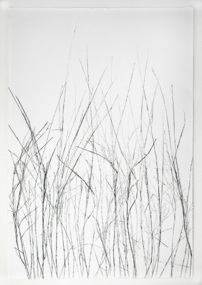 Linda Ridgway Grassland I, Third State, 2018