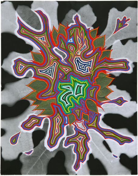 Fred Tomaselli,