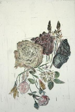 Kiki Smith Touch (rose)