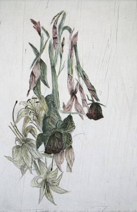 Kiki Smith Untitled (Lilies), from Touch, 2006