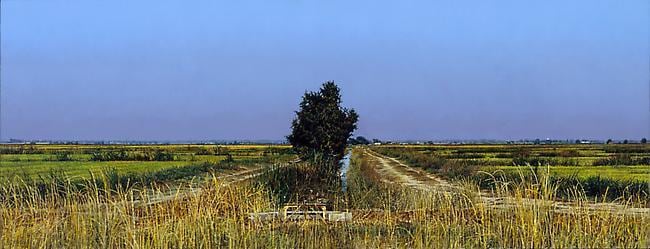 Colusa County Weir (The White Heron)