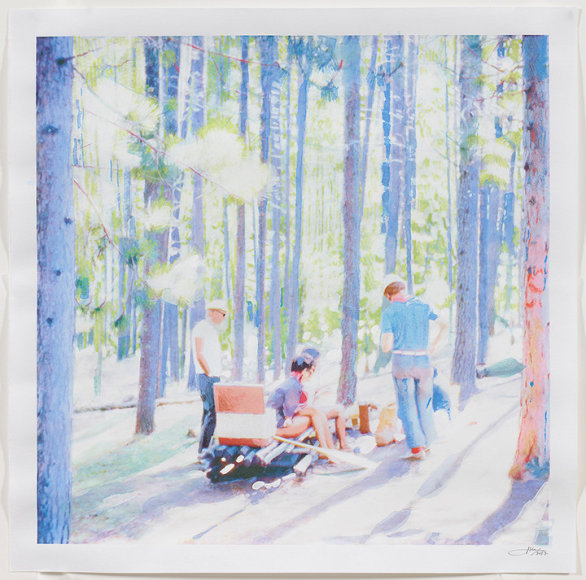 Forest Camping, 2017