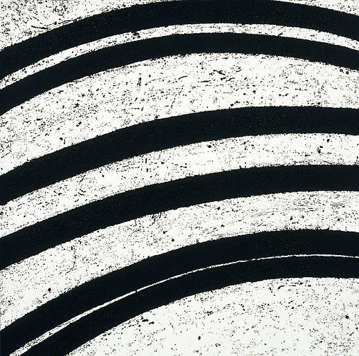 Between the Torus and the Sphere V, 2006,