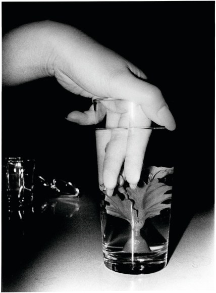 Daido Moriyama Artificial Underwater Flower, 1990/2010