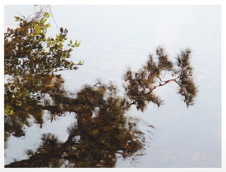 Reflection Study (Kenrokuen), 2017