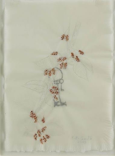 Kiki Smith Mulberry Drawing (86)