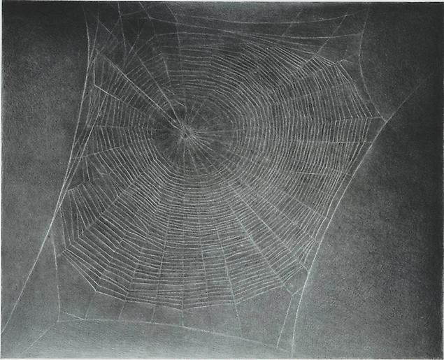 Vija Celmins Untitled (Web 4)