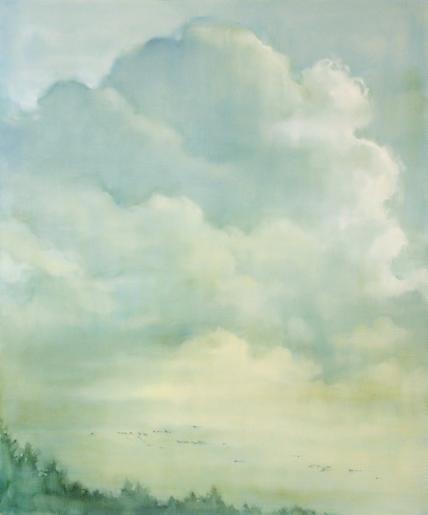 Cloud with Vee Formation