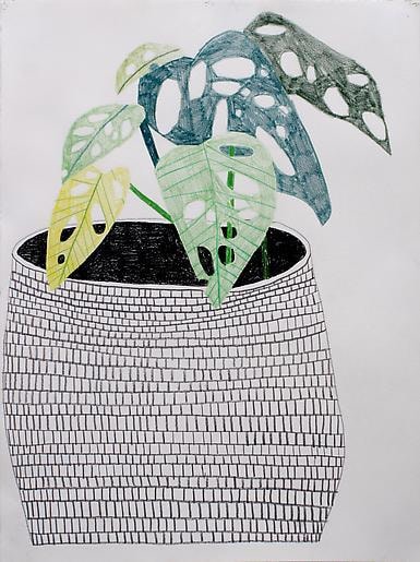 Jonas Wood Pot with Plant, 2009