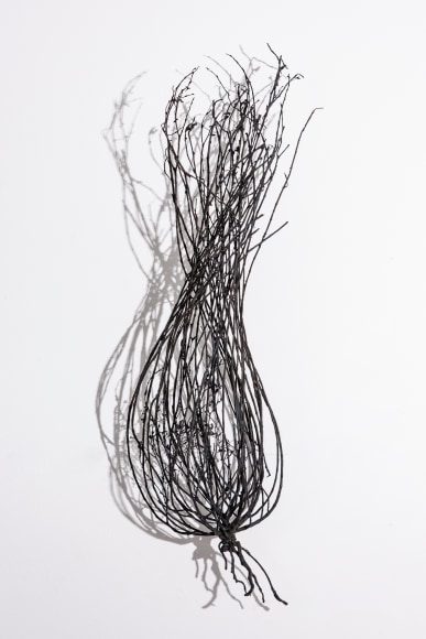 Linda Ridgway Field #1, 2019