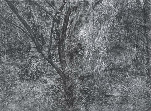 Lucian Freud Painter&#039;s Garden