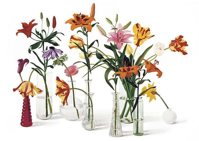 Donald Campbell Lilies and Tulips