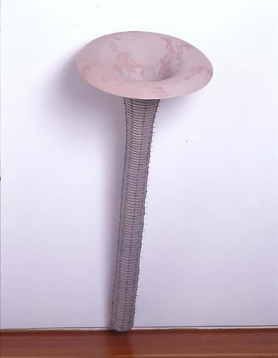 Peter Shelton pinkfunnel