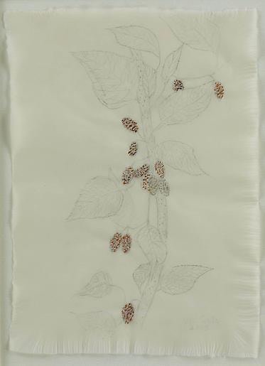 Kiki Smith Mulberry Drawing (83)