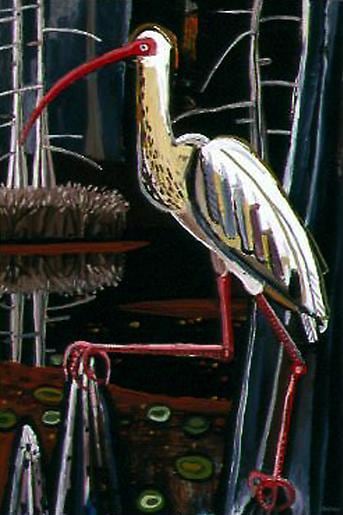David Bates White Ibis
