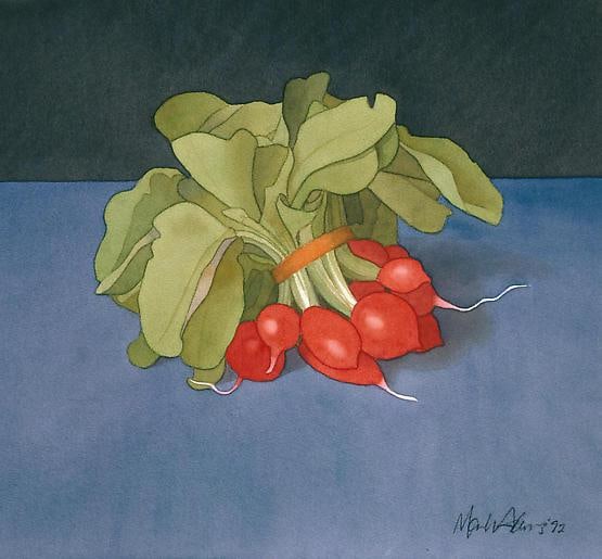Mark Adams - Watercolors - Exhibitions - Berggruen Gallery