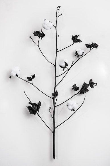Linda Ridgway In a turning row, II, 2017