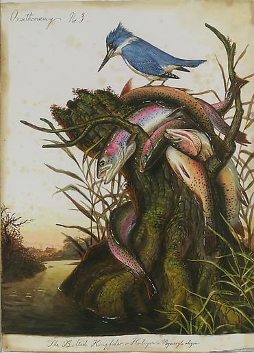 Ornithomancy No. 3a