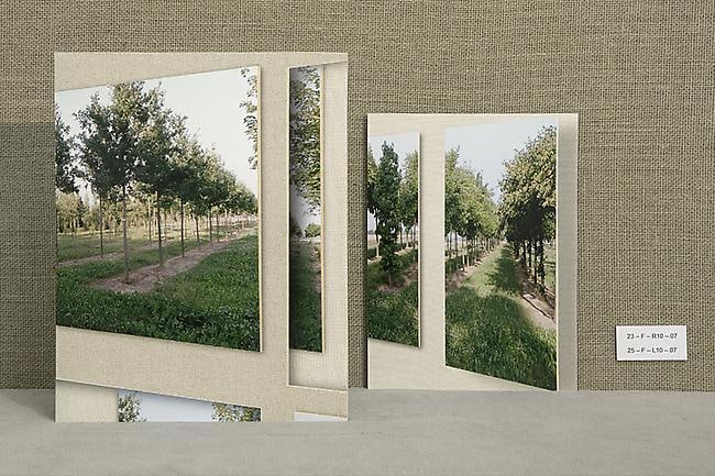 Miriam Böhm Areal III, 2009 2/2