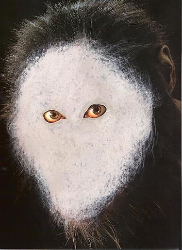 Jonathan Callan Red Eyes