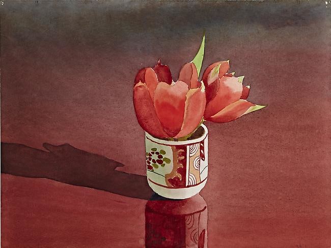 Mark Adams,