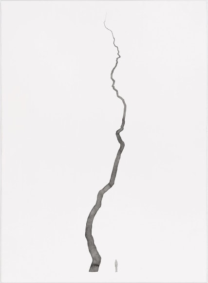 Roxy Paine,