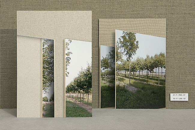 Miriam Böhm Areal I, 2009 1/2