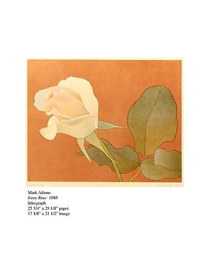 Mark Adams,