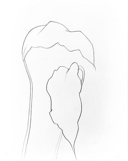 Ellsworth Kelly Leaves, 1999