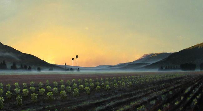 Stephen Hannock Napa Dawn, Golden Light