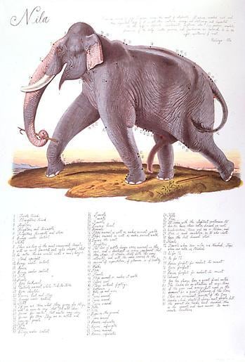 Nila 2000 9-color lithograph