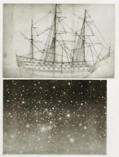 Vija Celmins Alliance