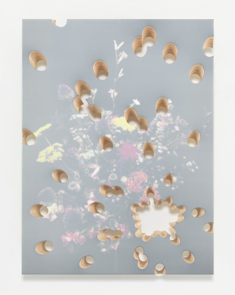 Donald Moffett Lot 081716 (flowers shot), 2016