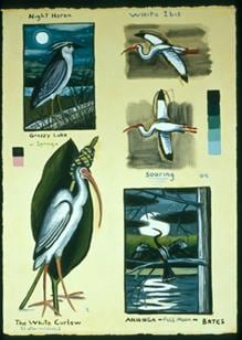 White Curlew 2004