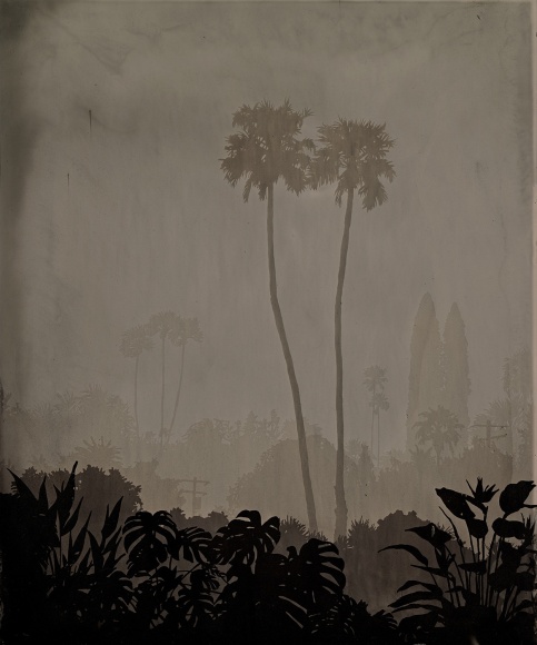 Vanessa Marsh Palm Springs 11, from the series Further to Fly, 2021